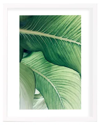Imagen del producto de Marco de fotos de madera blanca, 30x40 cm, con cubierta de plexiglás, ideal para fotos y pósters