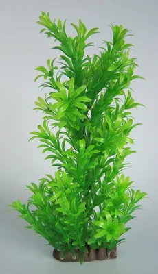 Produktbild von Orbit Aquapflanze Deluxe medium Nr. 16 18 - 22 cm