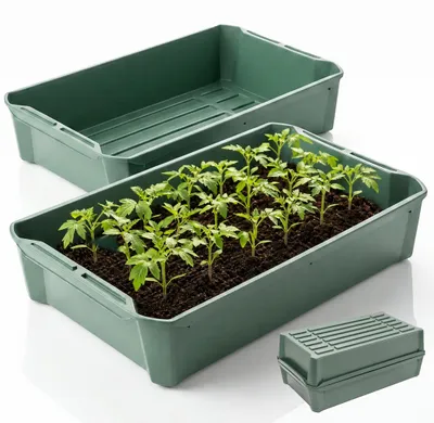 Produktbild von Pikierschale, Anzuchtschale Grün, 33x58x11cm, 2 Stück