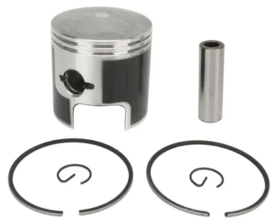 Immagine prodotto di Set di pistoni per motore fuoribordo da 79 mm 12110-94400 - Ricambio per motore da barca Suzuki 40 CV DT40 DT40C