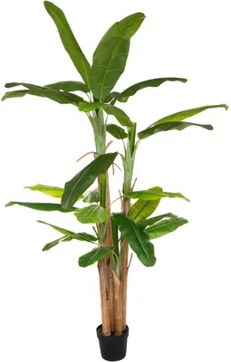 Produktbild von Künstlicher bananenbaum riese h285cm  - Atmosphera créateur d'intérieur