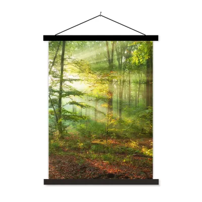 Produktbild von MuchoWow® Textilposter Sonne - Wald - Bäume - Natur - Herbst 60x80 cm mit schwarzem Rahmen - Plakathalter