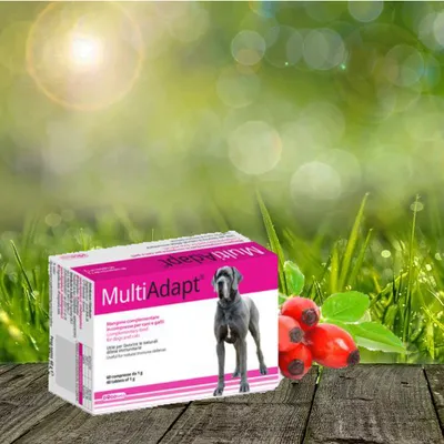 Produktbild von Dogoteka - MultiAdapt - 60 Stück   natürliche Immunabwehr - normaler Stoffwechsel