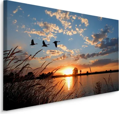 Produktbild von Fabelhafte Canvas LEINWAND BILDER 90x60 cm XXL Kunstdruck Vögel Störche See Abend