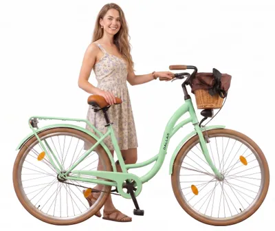 Produktbild von Dallas Bike Fahrrad Mit Weidenkorb - Damenfahrrad 28 Zoll - 1-Gang Rücktritt - Rahmen M 18" - Mint-Braun