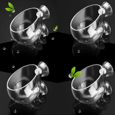 Image de Lot de 4 pots en verre pour plantes d'aquarium