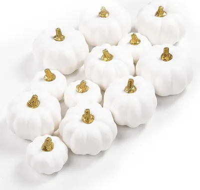 Image de Artificiel Blanc Mousse Mini citrouilles Set 12 pièces Décoration d'automne