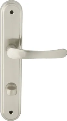 A silver-colored door handle set on a white background.