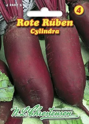 Produktbild von Rote Rübe Cylindra (30 g) | Rote Beetesamen von N.L. Chrestensen