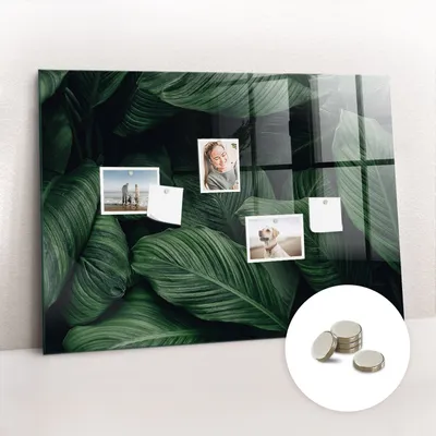 Obrázek produktu pro Magnetická Tabule na Zeď Skleněná - Memo Board Kleněnou Přední Stranou - 5 magnetů v balení - 100x70 cm - Tropická monstera