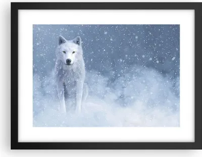 Produktbild von Gerahmtes Poster - Schwarzer Rahmen - Weiß Wolf Schnee - 40x30 cm - Wand Bild - Wanddeko - Wandbilder - Kunstposter - Wandposter - Bilderrahmen - Bilder - Kunstdruck - Wanddekoration - P2BAA40x30-5006