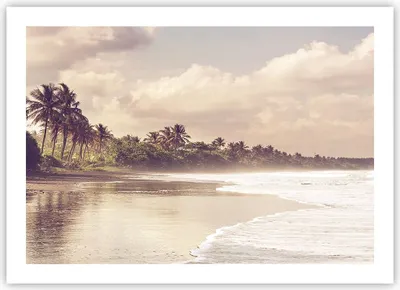Produktbild von Poster - Poster ohne Rahmen - Palmen Strand Wasser - 70x50 cm - Wand Bild - Wanddeko - Wandbilder - Kunstposter - Wandposter - Bilder - Kunstdruck - Wanddekoration - Wandbild - P2XAA70x50-4917