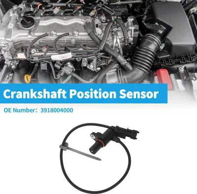 Image de 1 Capteur De Position Du Vilebrequin Pour Kia Picanto 1.0 2011-2017 En MšŠtal Robuste Et Plastique Noir Capteur Ckp Du Moteur