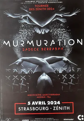 Zdjęcie produktu dla Sadeck Berrabah - Murmuration - Plakat - 80x120 cm