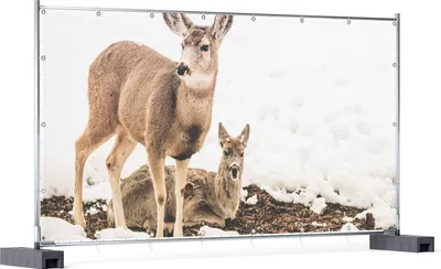 Produktbild von Wallario XXL Outdoor-Poster für Garten oder Balkon, Motiv Junge Elche im Schnee in Arizona - Amerika, in ca. 340 x 173 cm