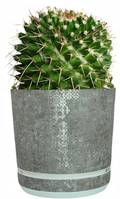 Produktbild von Kerd Dekor 12/015 Pflanztopf Grau mit Muster 12 cm