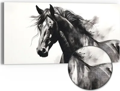 Produktbild von DEQOART Hybrid Leinwand Bild 60x30 cm 'Schwarze Schönheit' Wandbild Glas flach modern