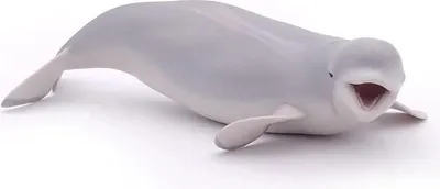 Obrázek produktu pro Papo Beluga whale, 3 rok/roky, Marine life, Šedá, PVC