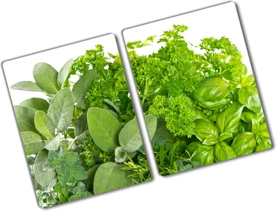 Produktbild von Tulup Glas Herdabdeckplatte - 2x40x52 cm - Glaskeramikkochfeld-Abdeckung Spritzschutz Glasabdeckplatte Kochplattenabdeckung und Schneidebrett - Zweiteilig - Essen & Getränke - Kräuter - Grün
