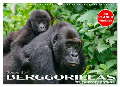 Produktbild von Berggorillas im Herzen Afrikas (Wandkalender 2027 DIN A3 quer), CALVENDO Monatskalender
