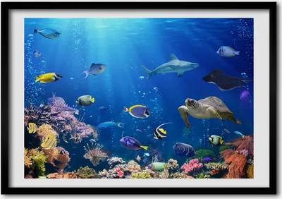Produktbild von Bild - Bilder - Bilderrahmen - 70 cm x 50 cm - MDF-Rahmen, Wandkunst Korallenriff