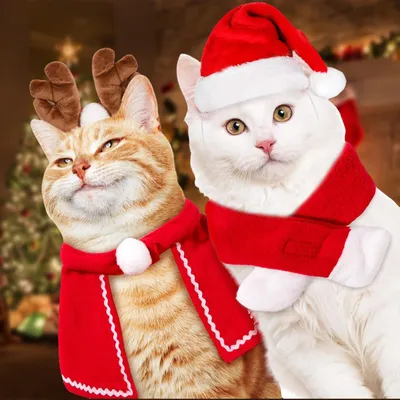 Produktbild von Weihnachtskostüm für Haustiere mit Hut und Schal