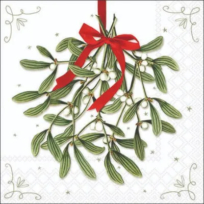 Produktbild von Weihnachten Cocktail Servietten 25x25 cm 3-lagig 20 Servietten Mistletoe with bow white