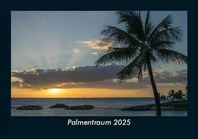 Produktbild von Palmentraum 2025 Fotokalender DIN A5