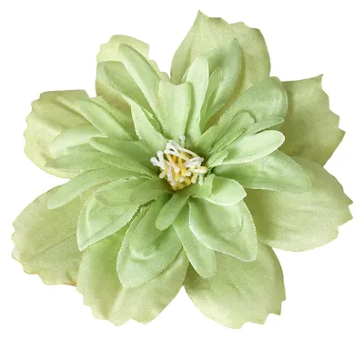 Produktbild von 20 künstliche Blumenköpfe aus Seide, ideal für Bastelarbeiten, Hochzeiten, Brautpartys, Babypartys und als Heimdekoration.