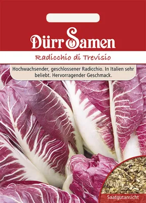 Produktbild von Dürr-Samen - Radicchio di Treviso - Saatgut - 1935