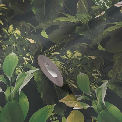 Zdjęcie produktu dla Tapeta z włókniny AS Creation PintWalls II Plants 396981