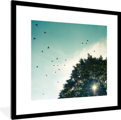 Produktbild von MuchoWow® MuchoWow® Gerahmtes Poster Wald - Baum - Vogel 40x40 cm - Poster mit zchwarzem Bilderrahmen - Poster - Plakat im Rahmen