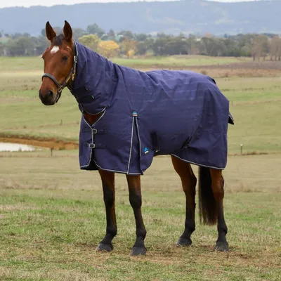 Image de Weatherbeeta Comfitec Prelim Turnout Combo 0g - Taille 125 - Bleu
