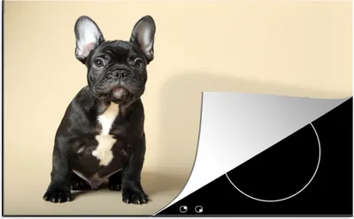 Produktbild von KitchenYeah© Herdabdeckplatte Französische Bulldogge - Schwarz - Beige , 76x51cm, Küche Deko, Glaskeramikkochfeld Herdabdeckung, Abdeckplatte fùr Kochfeld