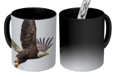 Obrázok produktu pre KitchenYeah® Magický hrnček Magický hrnček Magický orol skalný - vták - Amerika 350 ml hrnček na zmenu farby nápad na darček - magický hrnček - fotohrnček - keramické hrnčeky - obrázky - šálka na kávu - nápoj
