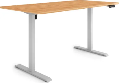 Produktbild von ESMART Germany ETX-121GM 160 x 80 cm Ahorn-Nachbildung Ergonomischer Steh-Sitz-Schreibtisch Stufenlos elektrisch höhenverstellbar 73,5 - 123,5 cm 3x Memory Aktivitätserinnerung Soft-Start/Stopp Schnelle Montage