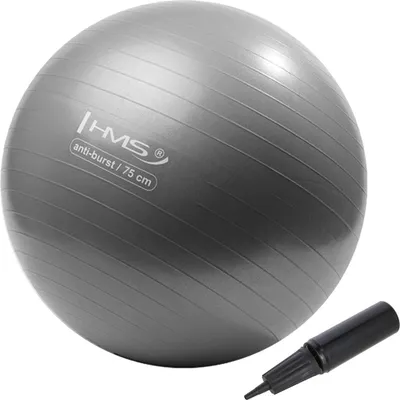 Obrázek produktu pro Gymnastický míč HMS YB02N 75 cm šedo-stříbrný