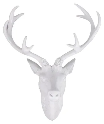 Produktbild von XXL Hirschgeweih Hirschkopf Geweih 10-Ender Weiß 48x32x61cm