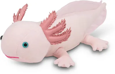 Image de Doudou Axolotl Animigos