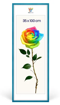 Produktbild von MG Design Bilderrahmen Türkis 35x100 cm - Posterrahmen Echtholz mit Acrylglas, verstärkte Wandaufhängung, hoch/quer