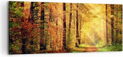 Produktbild von Bild auf Leinwand - Leinwandbild - Wald Baum Natur - 120x50cm - Wand Bild - Wanddeko - Wandbilder - Leinwanddruck - Bilder - Kunstdruck - Wanddekoration - Leinwand bilder - Wandkunst - AB120x50-3718
