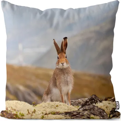 Produktbild von VOID Hase Tundra Berge Kissenbezug Kissenhülle sofa couch wohnzimmer dekoration wasserfest Outdoor Kissen bezug deko