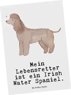 Produktbild von Mr. & Mrs. Panda bildkarte Irish Water Spaniel Lebensretter - Weiß - Geschenk, Postkarte, Kunstkarten, Ansichtskarten, Postkarten, Grußkarte, Jagdhund
