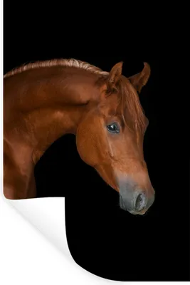 Produktbild von MuchoWow® - Sticker - Dekorfolie