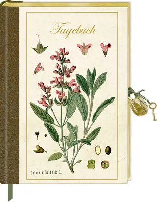 Produktbild von Tagebuch mit Schloss: Sammlung AUGUSTINA