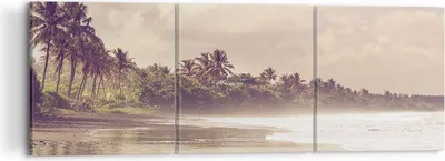 Produktbild von Bild auf Leinwand - Leinwandbild - 3 Teile - Palmen Strand Wasser - 120x40cm - Wand Bild - Wanddeko - Wandbilder - Leinwanddruck - Bilder - Wanddekoration - Leinwand bilder - Wandbild - CA120x40-4917