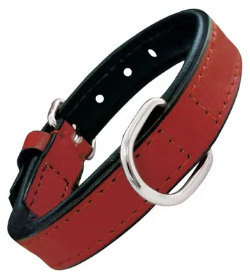 Image de Collier de chien Gloria rembourré rouge (40 x 2 cm)