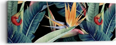 Produktbild von Bild auf Leinwand - Leinwandbild - Einteilig - Pflanze Tropisch Blume - 90x30cm - Wand Bild - Wanddeko - Wandbilder - Leinwanddruck - Bilder - Wanddekoration - Leinwand bilder - AB90x30-5093