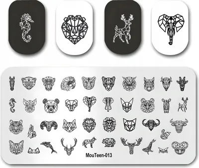 Imagen del producto de Placa para estampado de uñas. Diseños: animales, geometría