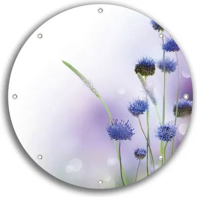 Produktbild von Wallario rundes Outdoor-Poster für Garten oder Balkon, Motiv Abstrakte lila Blume, 30 cm Durchmesser